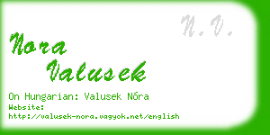 nora valusek business card